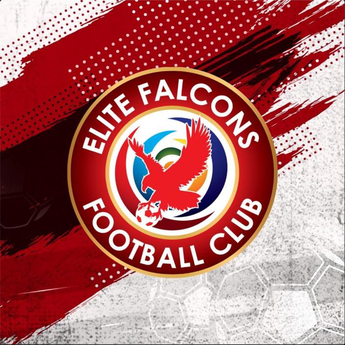 Elite Falcons FC : logo officiel